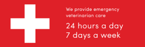 24 hour vet services