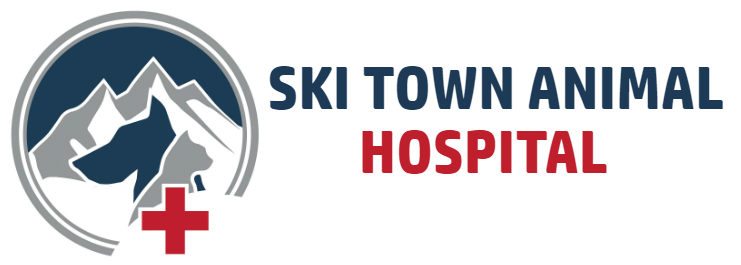 Ski Town Animal Hospital