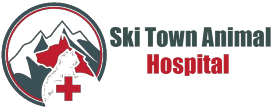 ski town animal hospital